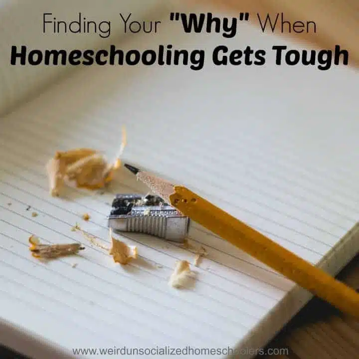 Finding Your “Why” When Homeschooling Gets Tough