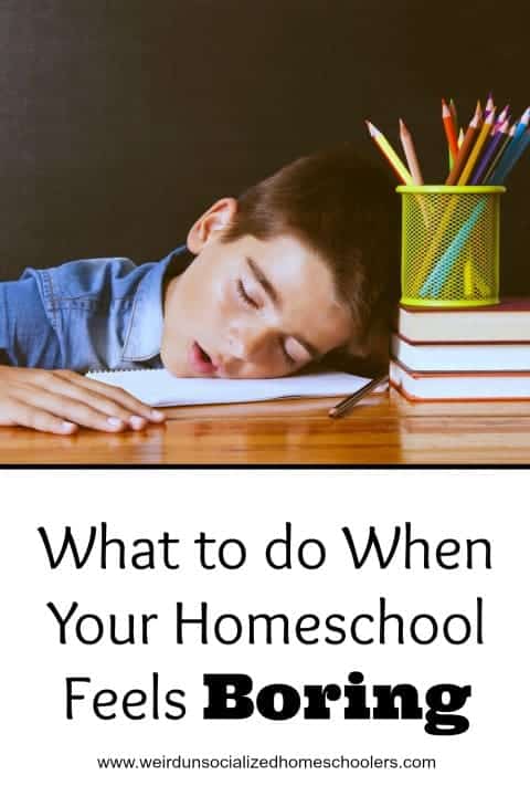 What to Do When Your Homeschool Feels Boring