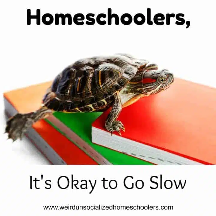 Homeschoolers, It’s Okay to Go Slow