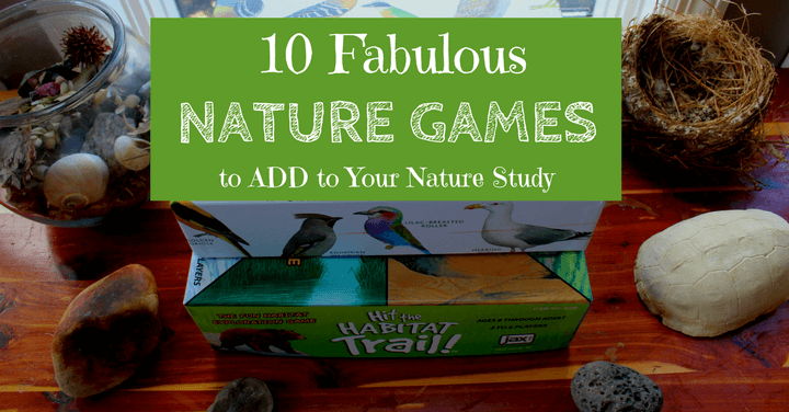10 Fabulous Nature Games to Add to Your Nature Study