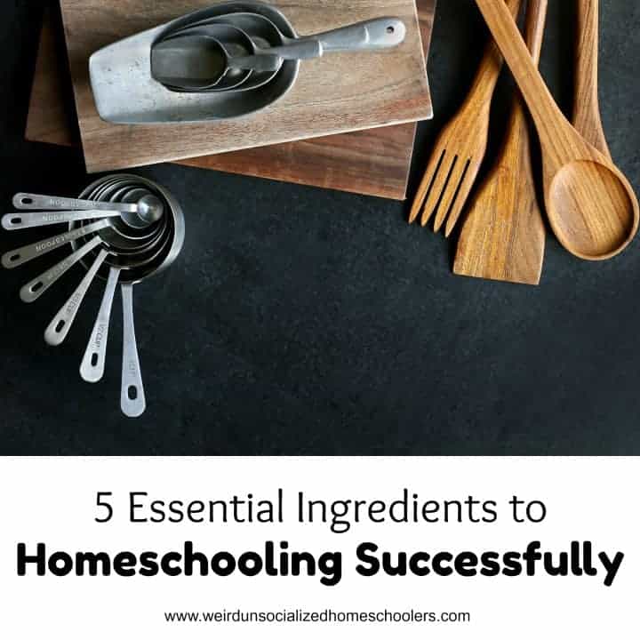 5 Essential Ingredients to Homeschooling Successfully