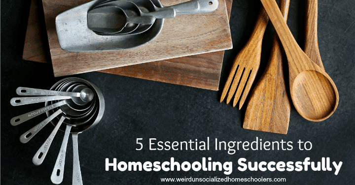5 Essential Ingredients to Homeschooling Successfully