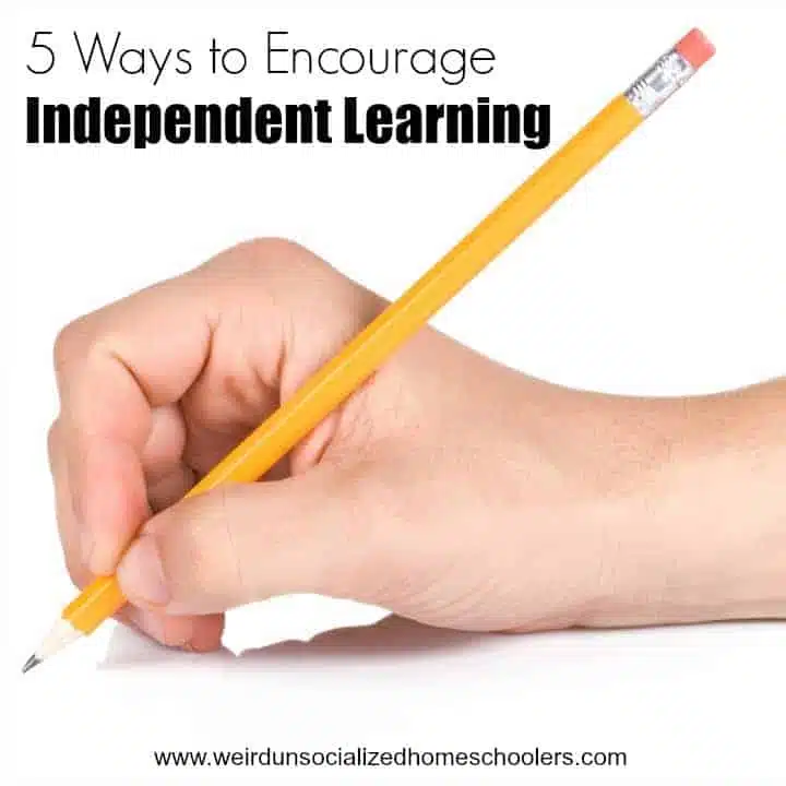 5 Ways to Encourage Independent Learning