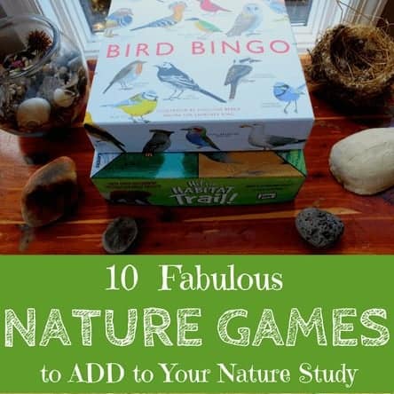 10 Fabulous Nature Games to Add to Your Nature Study