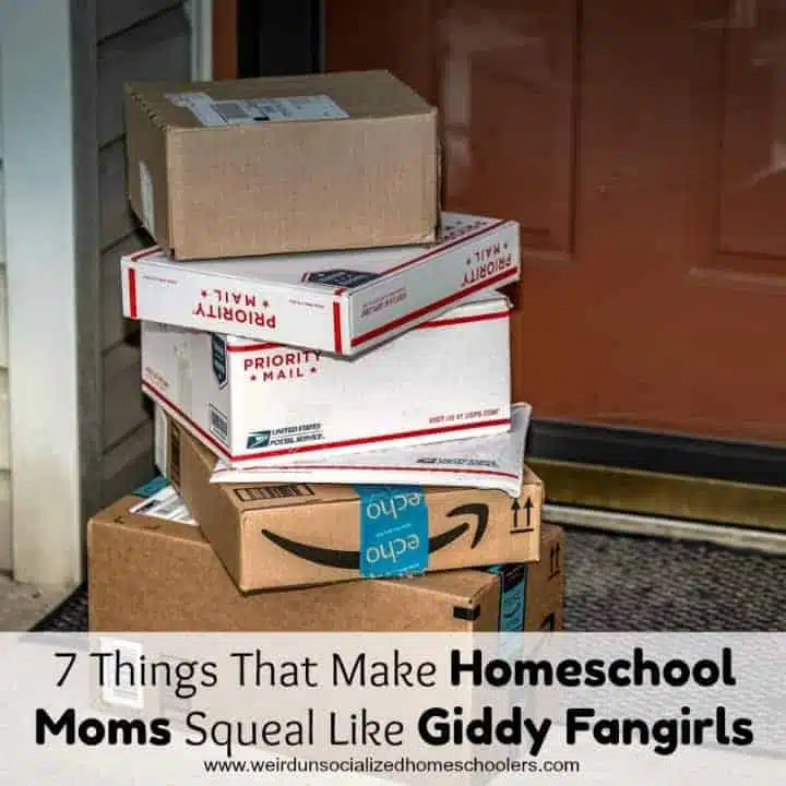 7 Things That Make Homeschool Moms Squeal Like Giddy Fangirls