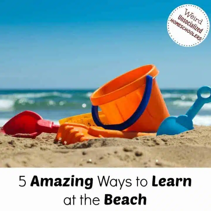 5 Amazing Ways to Learn at the Beach