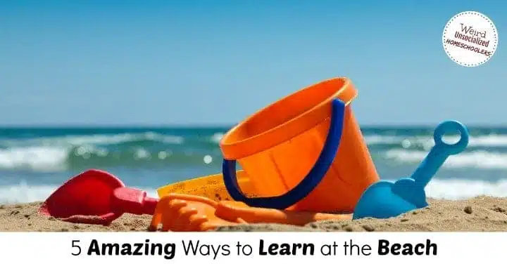 Ways to Learn at the Beach