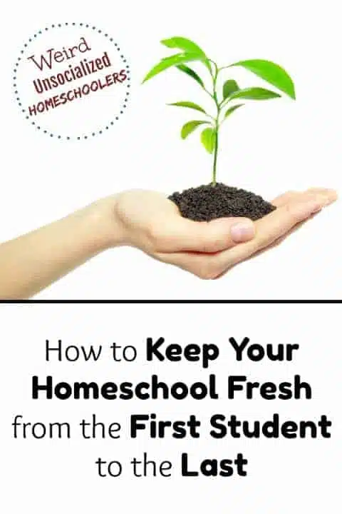 How to Keep Your Homeschool Fresh