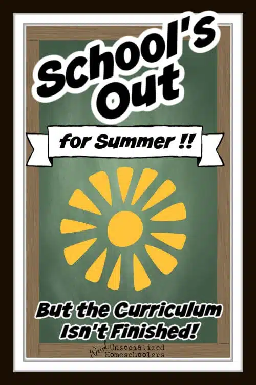 What to Do When You Don’t Finish the Curriculum by Summer Break