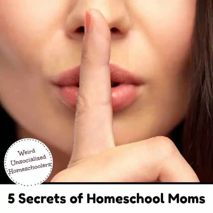 5 Secrets of Homeschool Moms