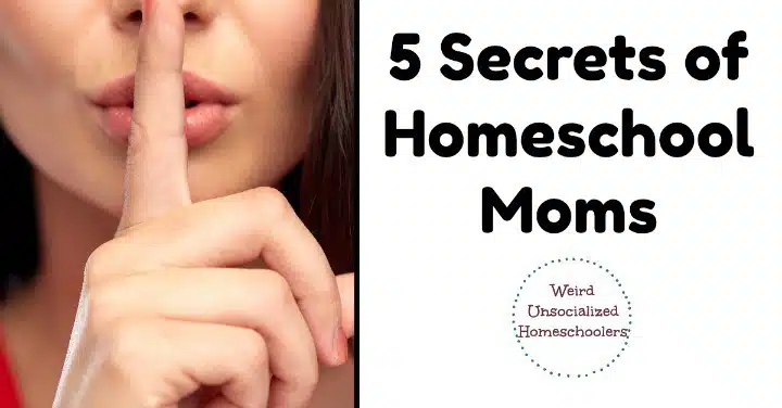 5 Secrets of Homeschool Moms