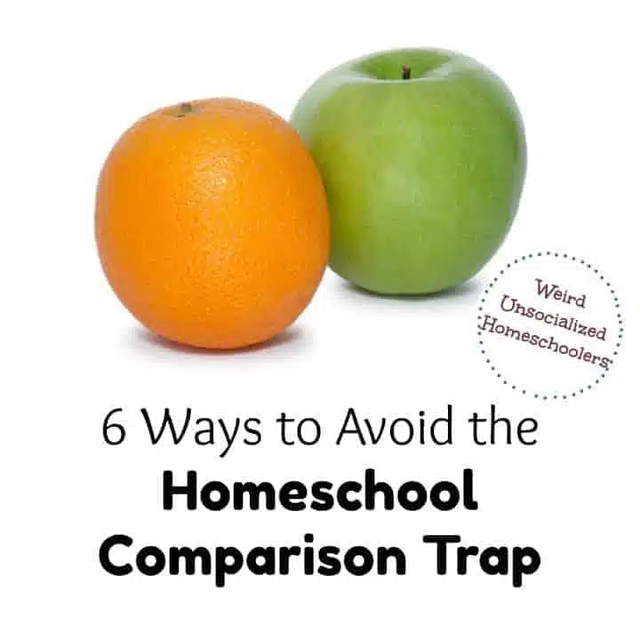 6 Ways to Avoid the Homeschool Comparison Trap