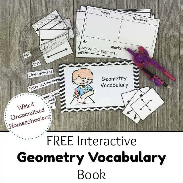 FREE Interactive Geometry Vocabulary Book