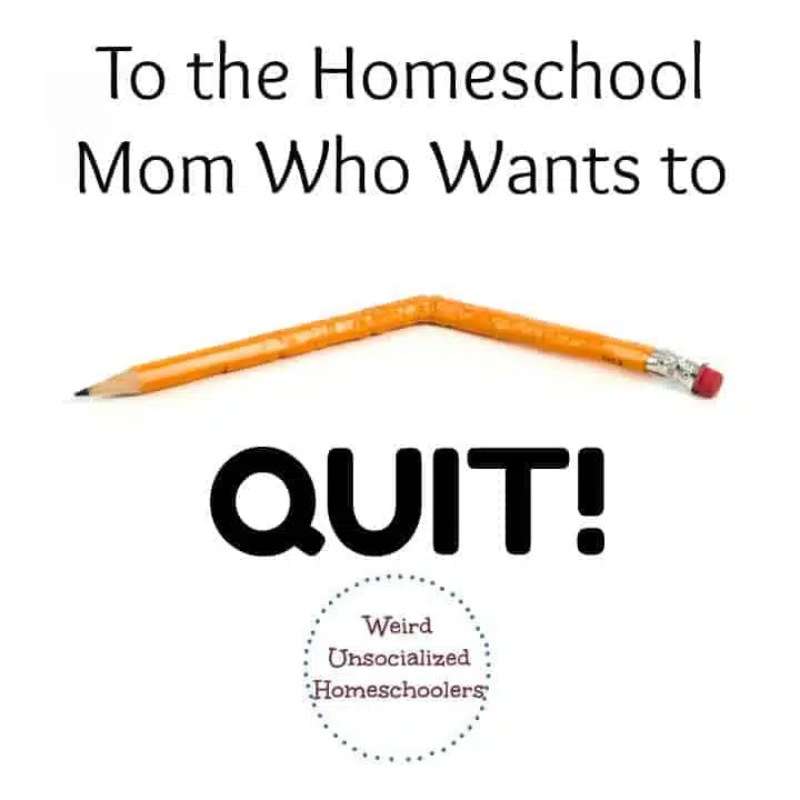 To the Homeschool Mom Who Wants to Quit