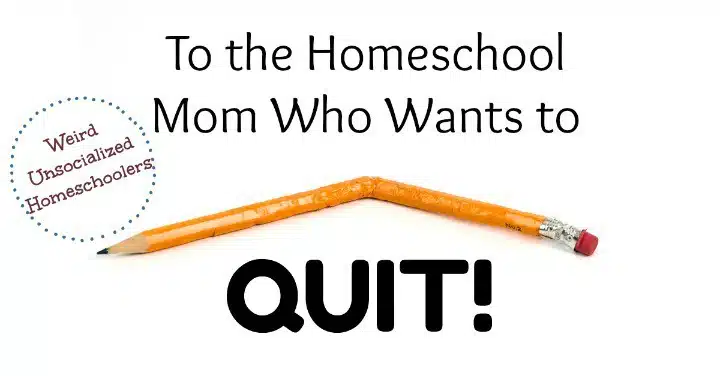 When You Want to Quit Homeschooling