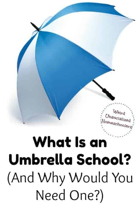 What Is an Umbrella School? What Is an Umbrella School?