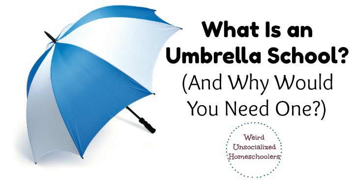 What Is an Umbrella School? What Is an Umbrella School?