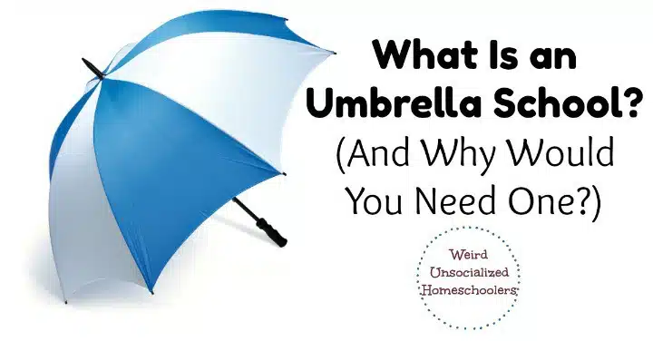 What Is an Umbrella School?