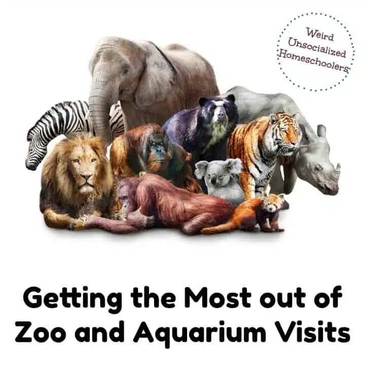 Getting the Most Out of Zoo and Aquarium Visits