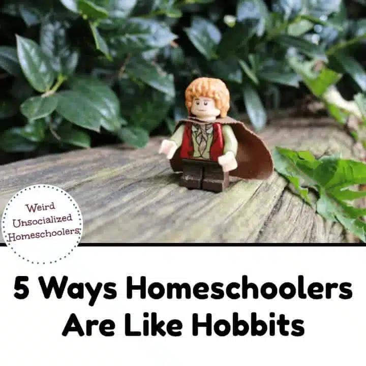 5 Ways Homeschoolers Are Like Hobbits