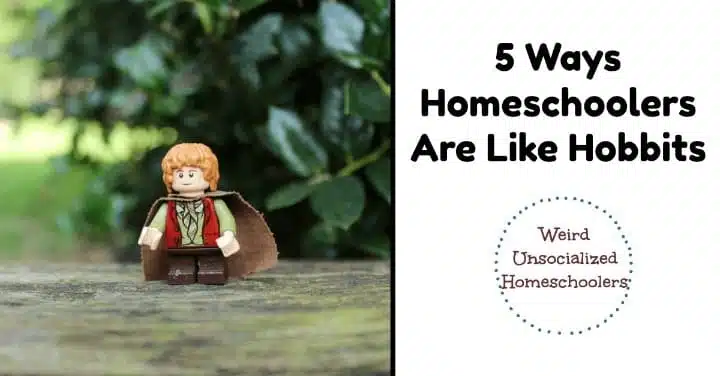 5 Ways Homeschoolers Are Like Hobbits