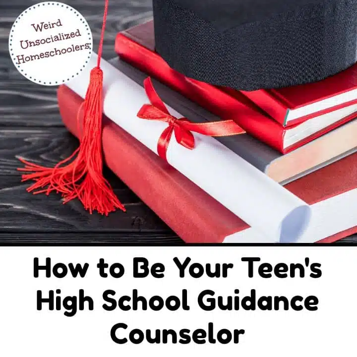 How to Be Your Teen’s High School Guidance Counselor