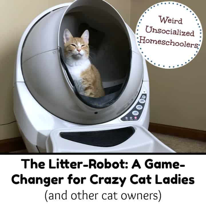 The Litter-Robot: A Game-Changer for Crazy Cat Ladies (and other cat  owners) - Weird, Unsocialized Homeschoolers
