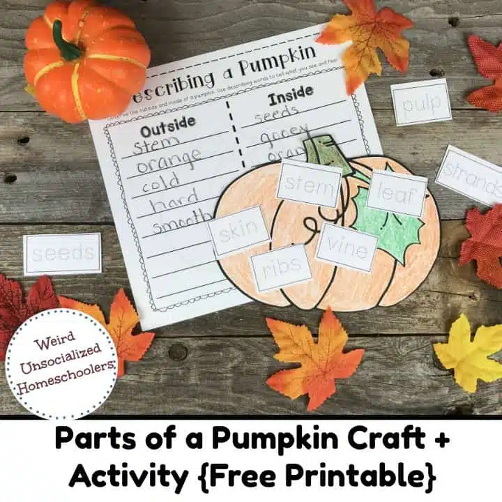 Parts of a Pumpkin Craft + Activity {Free Printable}
