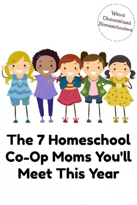 The 7 Homeschool Co-Op Moms You'll Meet This Year