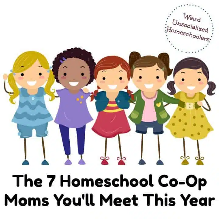 The 7 Homeschool Co-Op Moms You’ll Meet This Year