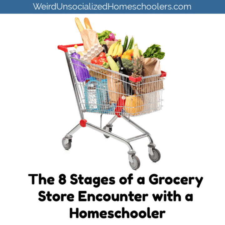 The 8 Stages of a Grocery Store Encounter with a Homeschooler