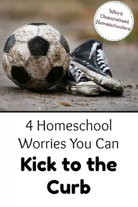 4 Homeschool Worries You Can Kick to the Curb 4 Homeschool Worries You Can Kick to the Curb