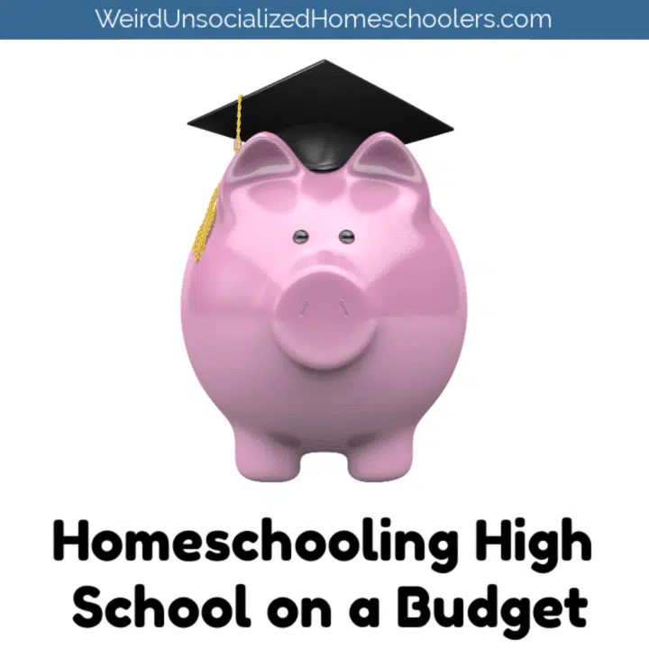 Homeschooling High School on a Budget