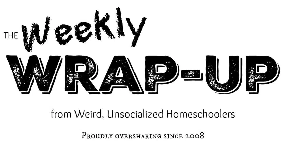 Weekly Wrap-Up: The one with the remodeling delay
