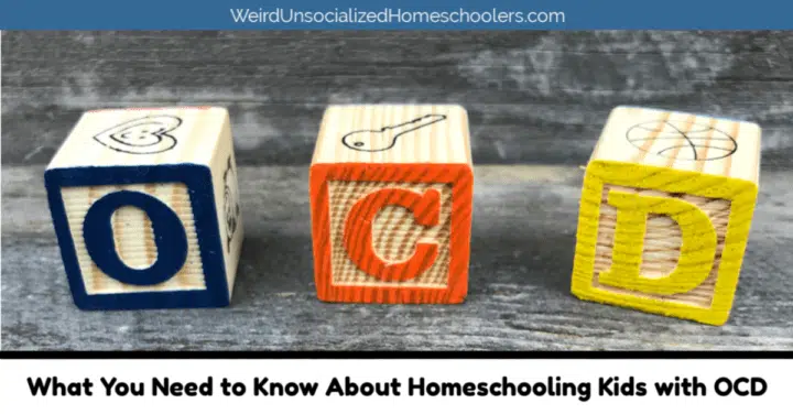 What You Need to Know About Homeschooling Kids with OCD