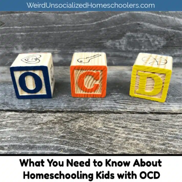 What You Need to Know About Homeschooling Kids with OCD