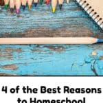 4 of the Best Reasons to Homeschool Dyslexic Students