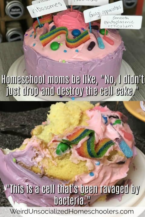 hands-on learning cell cake