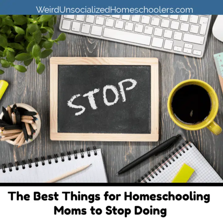 The Best Things for Homeschooling Moms to Stop Doing
