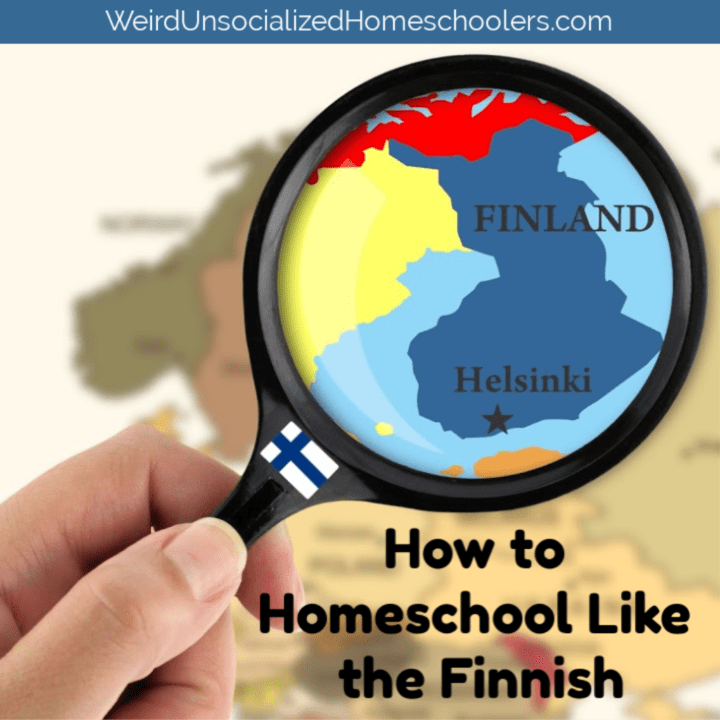 How to Homeschool Like the Finnish