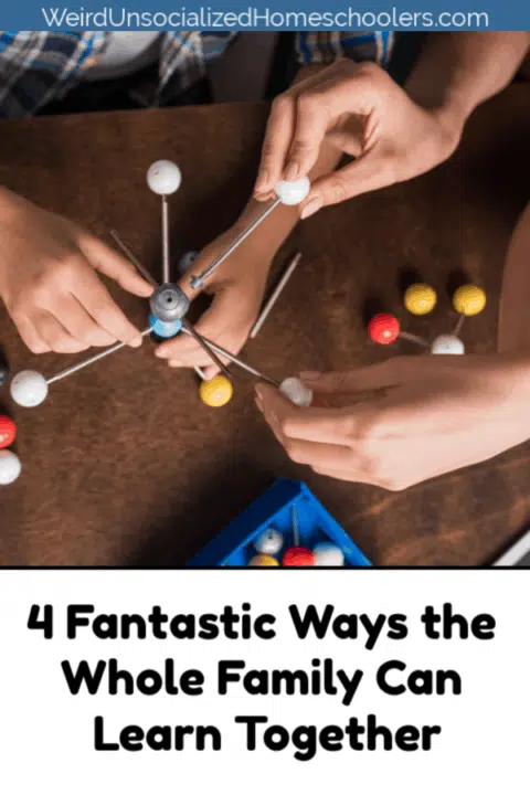 4 Fantastic Ways the Whole Family Can Learn Together