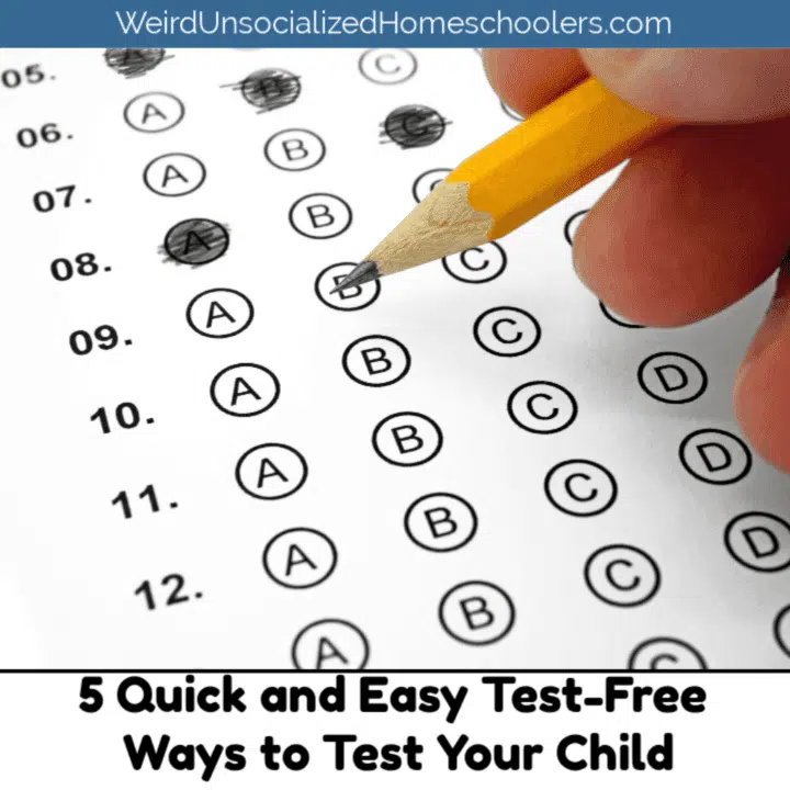 5+ Quick and Easy Ways to Test Your Child (Without a Test)