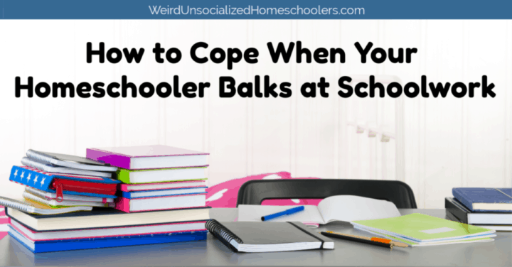 Homeschooler Balks at Schoolwork Homeschooler Balks at Schoolwork
