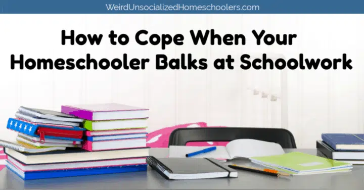 Homeschooler Balks at Schoolwork