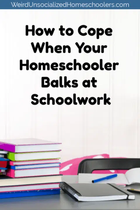 Homeschooler Balks at Schoolwork