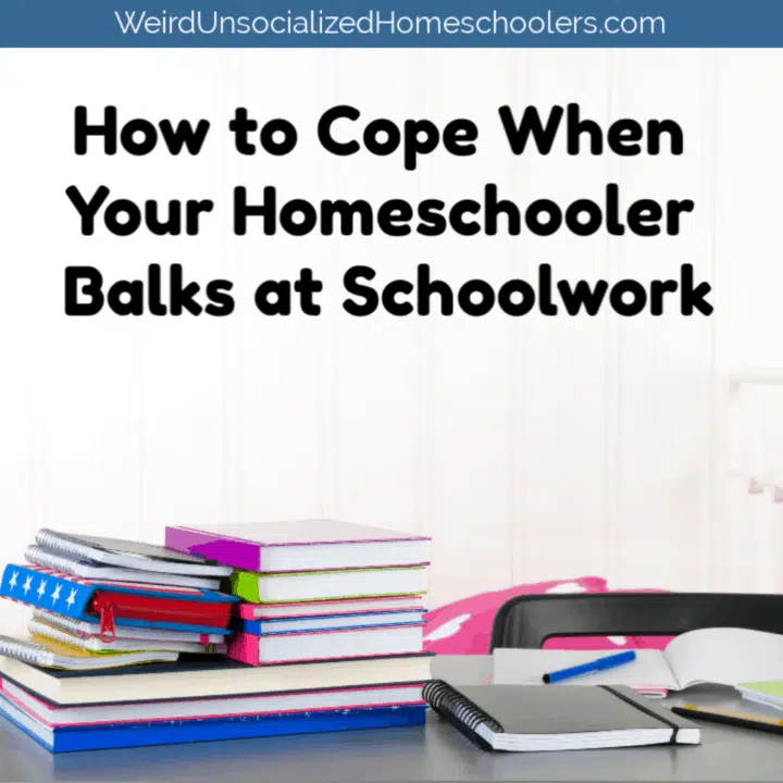How to Cope When Your Homeschooler Balks at Schoolwork