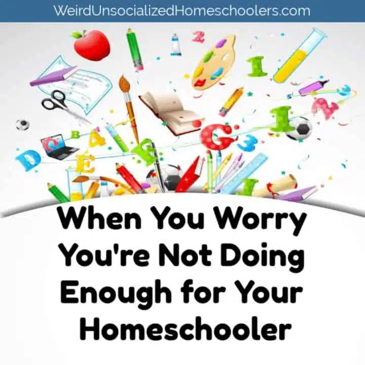When You Worry You’re Not Doing Enough for Your Homeschooler