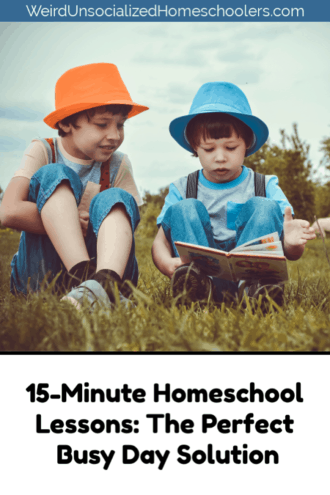 15-Minute Homeschool Lessons
