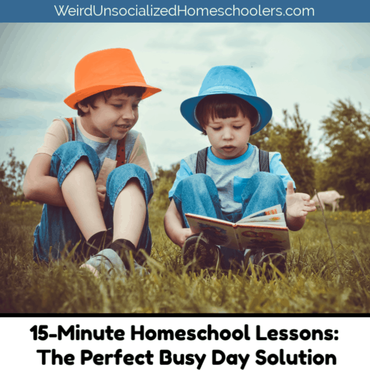 15-Minute Homeschool Lessons: The Perfect Busy Day Solution
