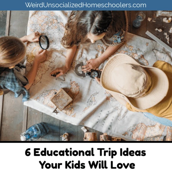 6 Educational Trip Ideas Your Kids Will Love